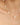 14K Solid Gold Cultured Pearl Station Necklace by Ratnavaali – view 4
